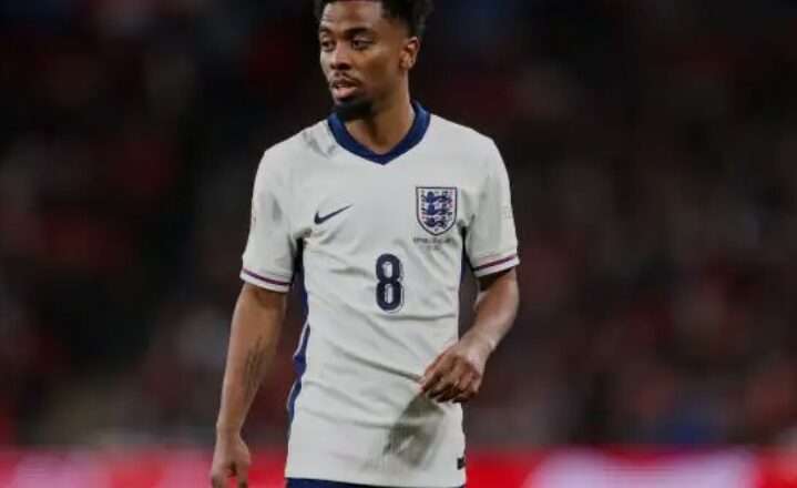 England’s Gomes to leave Lille on free transfer